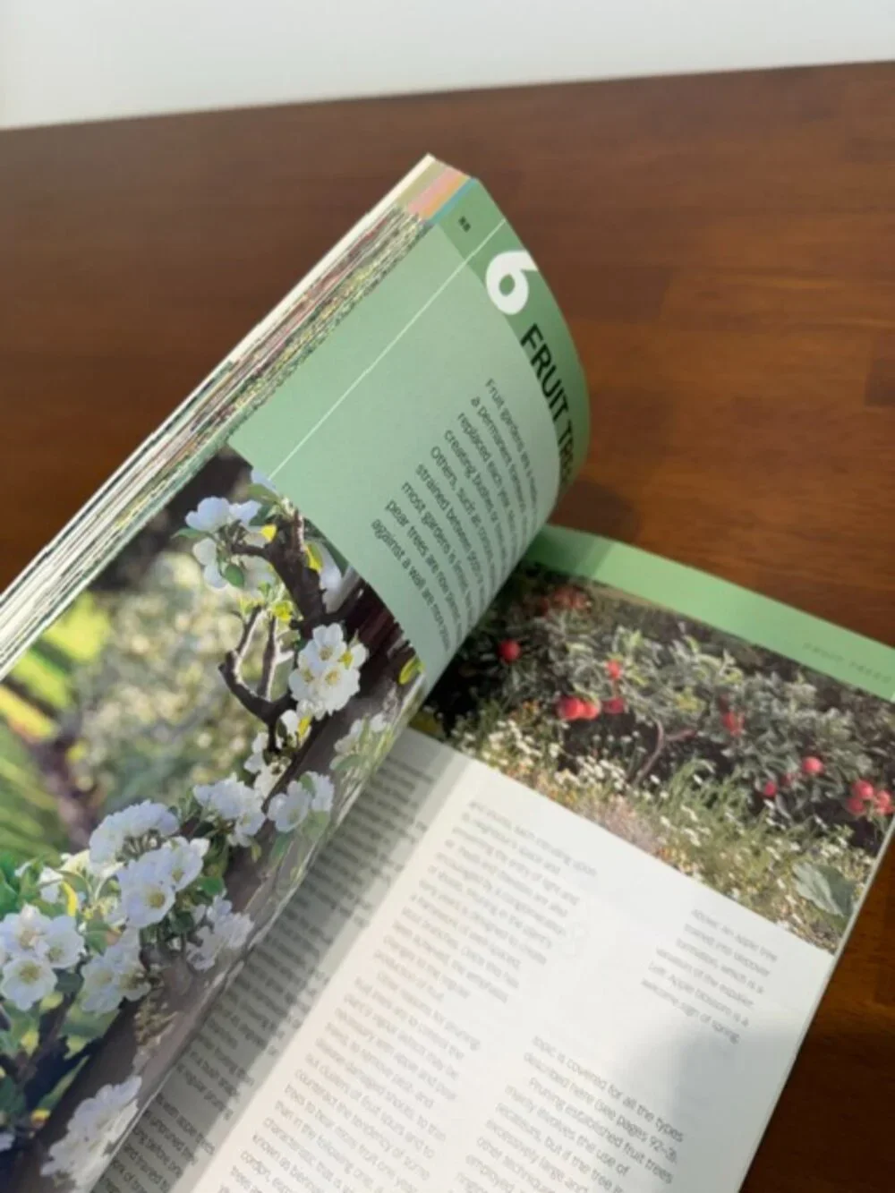Pruning Basics: Tools Techniques Timing
